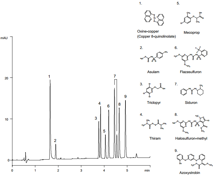 5d564cb527943.png 1.png